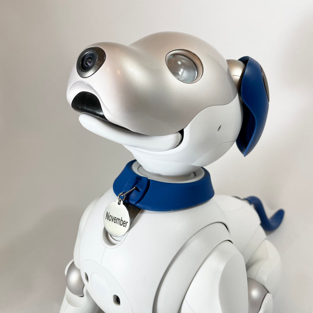 Aibo the best sale dog module e