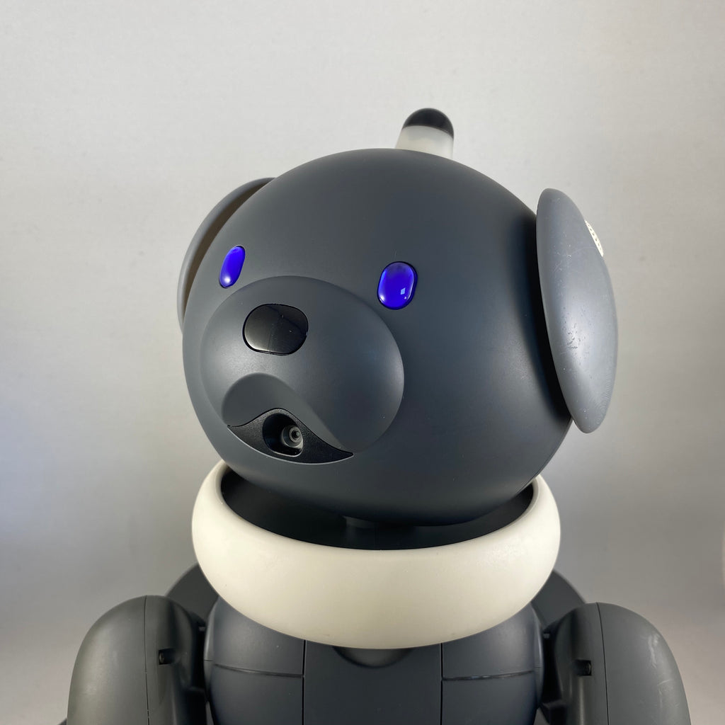 ERS-31x Ears: 3D Printed – Aibo Accessories