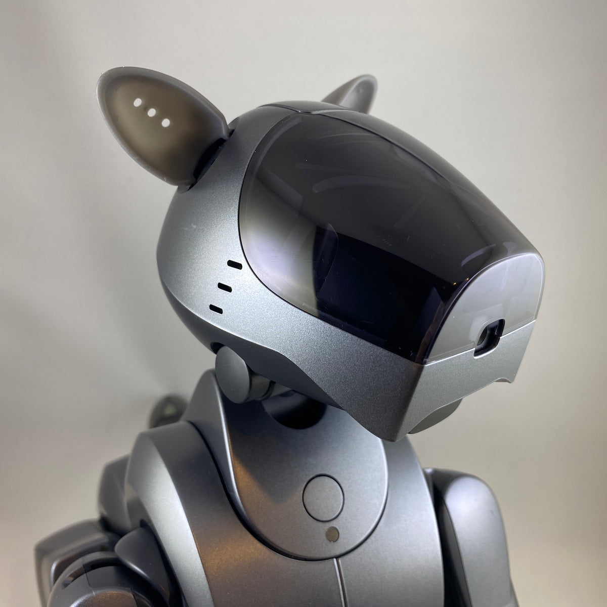 Products – Aibo Accessories